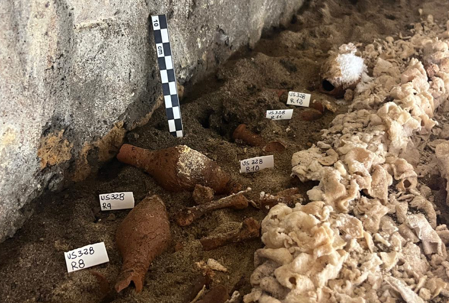 Interior of the sarcophagus under excavation, with the shroud and some accompanying elements